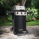 Газовый гриль Broil King GEM 310 814153 фото 4