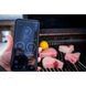 Газовый гриль Napoleon Prestige P 500 Connected P500VXRSIBPSS фото 10