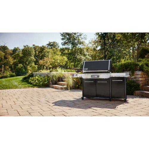 Газовый гриль Weber Summit FS38 X E Smart 1500068 фото