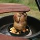 Стойка для курицы Big Green Egg 117458 117458 фото 5