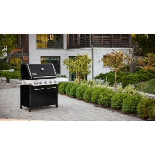 Газовый гриль Weber Summit FS38 E 1500059 фото