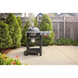Угольный гриль Weber Performer Smart 57 см 1501959 фото 8