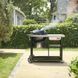 Вугільний гриль Weber Performer Premium 57 см 1501966 фото 6