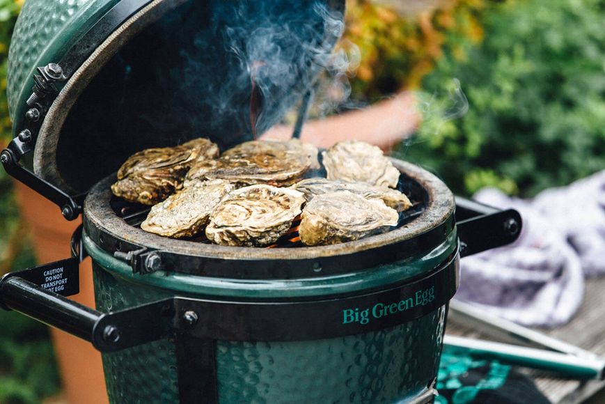 Гриль Big Green Egg Mini 00040 фото