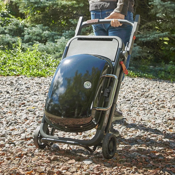 Портативний газовий гриль Weber Traveler 1501742 фото