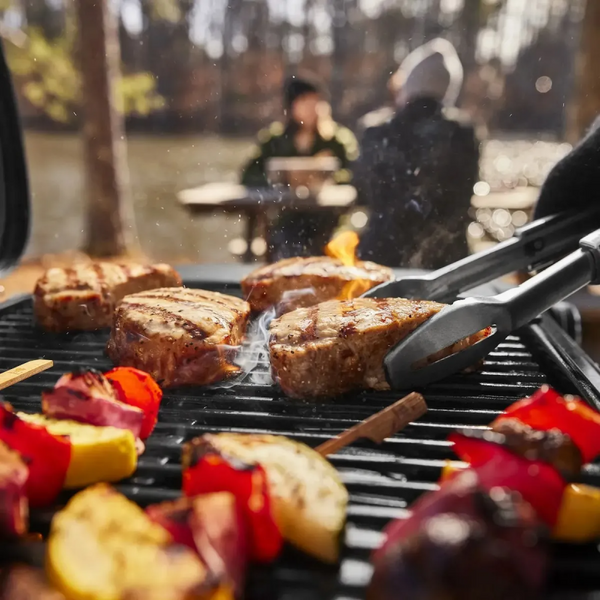 Портативний газовий гриль Weber Traveler, Compact 1501747 фото