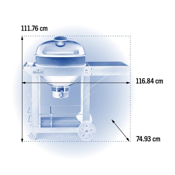 Вугільний гриль Napoleon Professional, 57 см, зі столом PRO22K-CART-3 фото